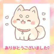 ヒメ日記 2025/11/20 08:04 投稿 熟女 みほ ハナミズキ