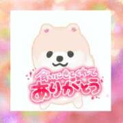 ヒメ日記 2025/11/25 13:08 投稿 熟女 みほ ハナミズキ