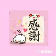 ヒメ日記 2025/11/30 07:38 投稿 熟女 みほ ハナミズキ