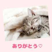 熟女 みほ 昨日のお礼 ハナミズキ