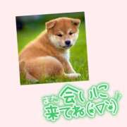 ヒメ日記 2026/01/14 17:04 投稿 熟女 みほ ハナミズキ