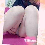 ヒメ日記 2026/01/18 16:06 投稿 熟女 みほ ハナミズキ