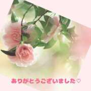 ヒメ日記 2026/01/19 11:42 投稿 熟女 みほ ハナミズキ