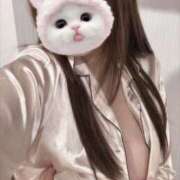 ヒメ日記 2025/01/20 15:36 投稿 りん Fの法則