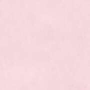 ヒメ日記 2025/02/22 20:01 投稿 りん Fの法則