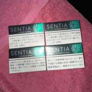 ヒメ日記 2025/07/14 06:15 投稿 えりな アロー