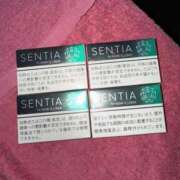 ヒメ日記 2025/09/27 15:00 投稿 えりな アロー
