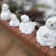 ヒメ日記 2026/02/08 19:16 投稿 あやか 天使のゆびさき 船橋店(カサブランカグループ)