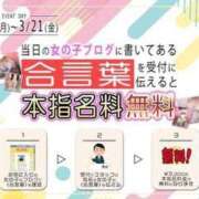 ヒメ日記 2025/03/18 17:18 投稿 あずさ 新宿カルテ