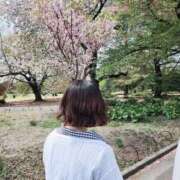 成瀬 美桜 🌸🌸🌸 バルボラ マリンブルー