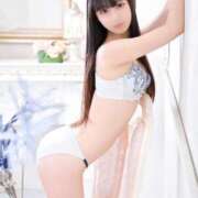 ヒメ日記 2024/12/12 09:30 投稿 みん チューリップ福井別館