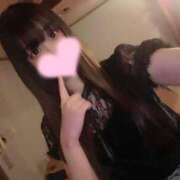 ヒメ日記 2025/02/19 12:54 投稿 みん チューリップ福井別館