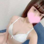 ヒメ日記 2025/04/24 12:25 投稿 みん チューリップ福井別館