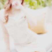 ヒメ日記 2024/12/31 22:11 投稿 めい SILK SPA福岡店