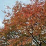 ヒメ日記 2025/11/18 23:09 投稿 めい SILK SPA福岡店