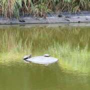 めい たまらんっっ❣️ SILK SPA福岡店