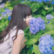 ヒメ日記 2025/05/26 17:14 投稿 Kaoru THE RICH