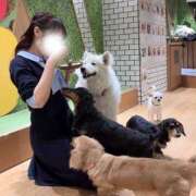 ヒメ日記 2026/09/17 08:00 投稿 りおん ムーランルージュ