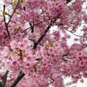 ヒメ日記 2025/03/08 09:59 投稿 つきな 錦糸町ミセスアロマ（ユメオト）