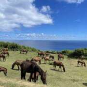 ヒメ日記 2025/03/13 10:18 投稿 つきな 錦糸町ミセスアロマ（ユメオト）