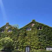 ヒメ日記 2025/04/22 10:34 投稿 つきな 錦糸町ミセスアロマ（ユメオト）