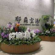 ヒメ日記 2025/10/16 19:02 投稿 つきな 錦糸町ミセスアロマ（ユメオト）