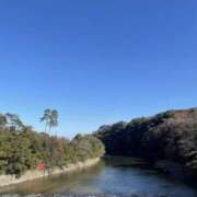 ヒメ日記 2025/11/14 11:03 投稿 つきな 錦糸町ミセスアロマ（ユメオト）