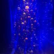 ヒメ日記 2025/12/09 11:06 投稿 つきな 錦糸町ミセスアロマ（ユメオト）