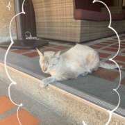 ヒメ日記 2026/02/02 11:20 投稿 つきな 錦糸町ミセスアロマ（ユメオト）