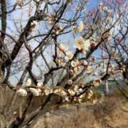 ヒメ日記 2026/02/14 10:53 投稿 つきな 錦糸町ミセスアロマ（ユメオト）