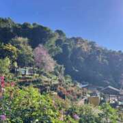 ヒメ日記 2026/02/15 13:51 投稿 つきな 錦糸町ミセスアロマ（ユメオト）