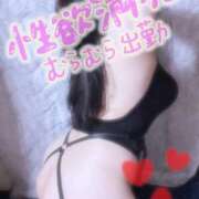 ヒメ日記 2025/03/29 11:50 投稿 せいな 豊満倶楽部