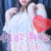 ヒメ日記 2025/04/11 17:50 投稿 せいな 豊満倶楽部