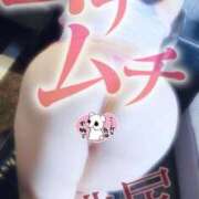 ヒメ日記 2025/08/17 10:11 投稿 せいな 豊満倶楽部