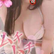 ヒメ日記 2025/09/17 09:50 投稿 せいな 豊満倶楽部