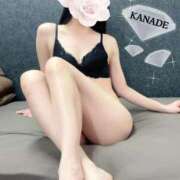 ヒメ日記 2025/05/16 01:11 投稿 かなで マダムの品格