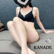 ヒメ日記 2025/06/02 15:16 投稿 かなで マダムの品格