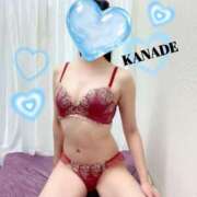 ヒメ日記 2025/08/16 18:57 投稿 かなで マダムの品格