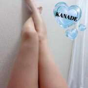 ヒメ日記 2025/08/30 23:34 投稿 かなで マダムの品格