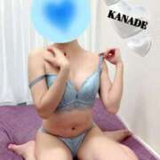 ヒメ日記 2025/09/11 19:23 投稿 かなで マダムの品格