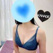 ヒメ日記 2025/09/17 17:59 投稿 かなで マダムの品格