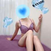 ヒメ日記 2025/10/01 18:20 投稿 かなで マダムの品格