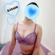 ヒメ日記 2025/10/06 19:19 投稿 かなで マダムの品格