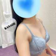 ヒメ日記 2025/10/13 18:54 投稿 かなで マダムの品格