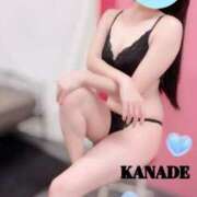 ヒメ日記 2025/12/04 16:06 投稿 かなで マダムの品格