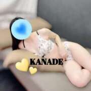 ヒメ日記 2025/12/14 16:05 投稿 かなで マダムの品格