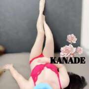 ヒメ日記 2025/12/17 16:00 投稿 かなで マダムの品格