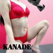 ヒメ日記 2025/12/18 03:32 投稿 かなで マダムの品格