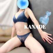 かなで 一緒に マダムの品格