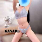 ヒメ日記 2025/12/31 14:59 投稿 かなで マダムの品格